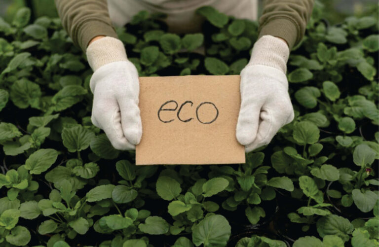 Avoiding Greenwashing in Cosmetics