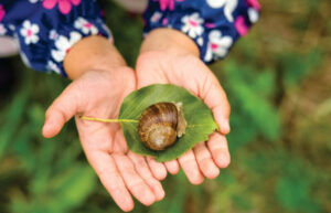 Snail Mucin in Skincare: Unlocking Its Full Potential for Healthy, Radiant Skin