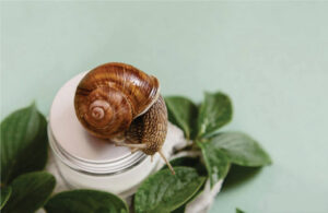 Snail Mucin in Skincare: Unlocking Its Full Potential for Healthy, Radiant Skin