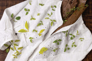 Eco-Friendly and Skin-Safe Fabrics